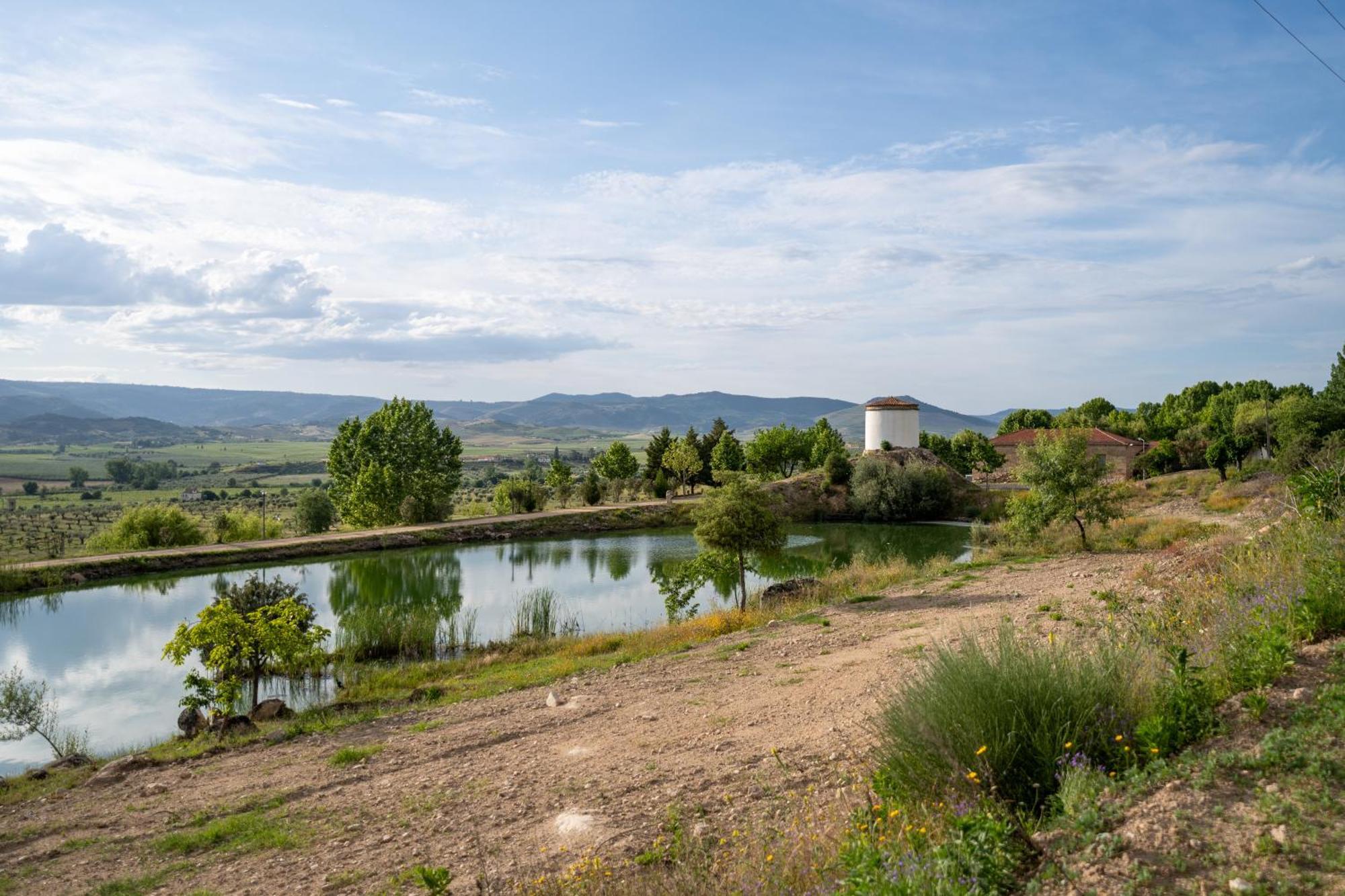 Affittacamere Quinta da Terrincha Torre De Moncorvo Esterno foto