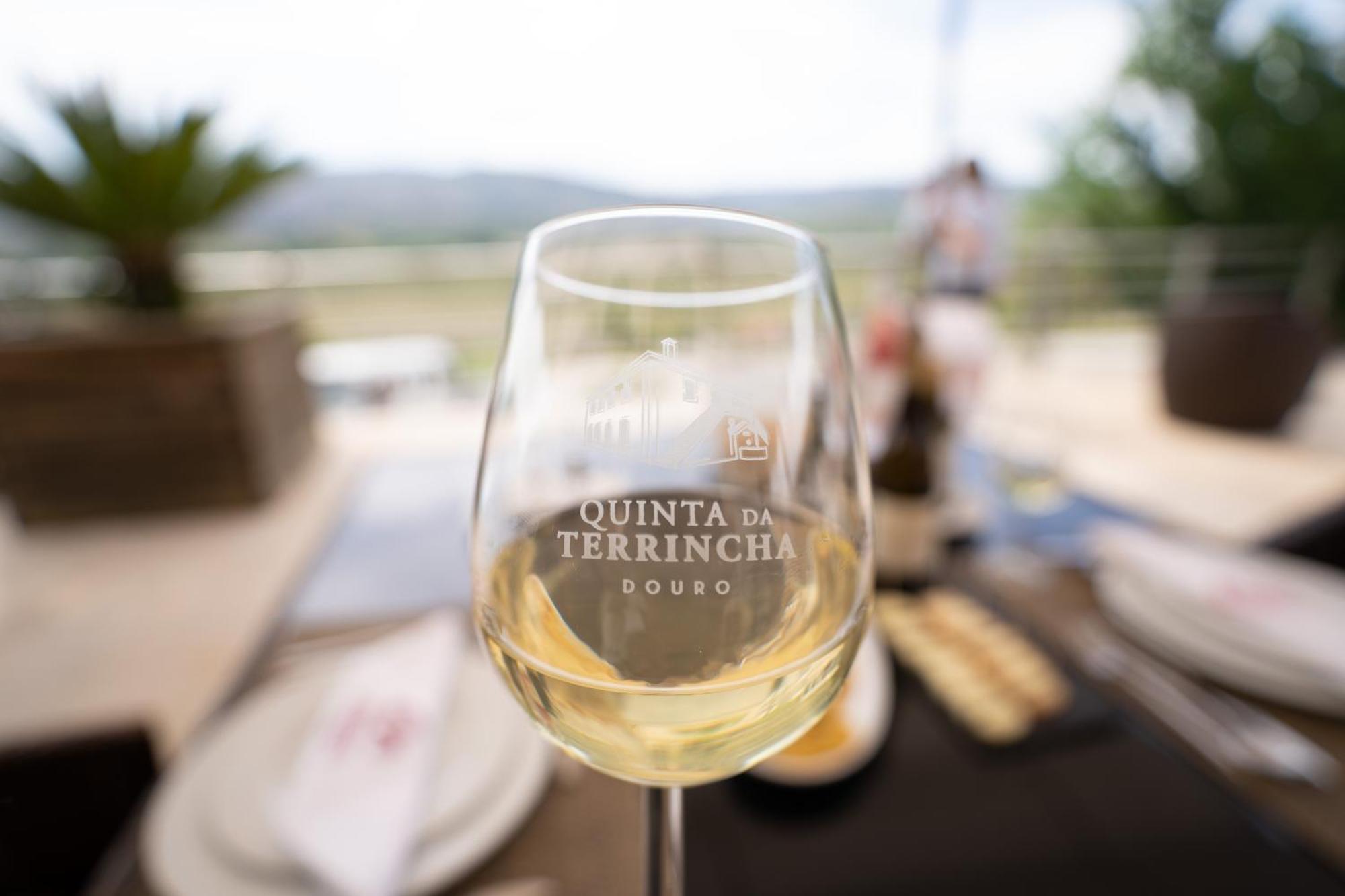 Affittacamere Quinta da Terrincha Torre De Moncorvo Esterno foto